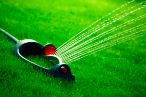 sprinkler watering the lawn