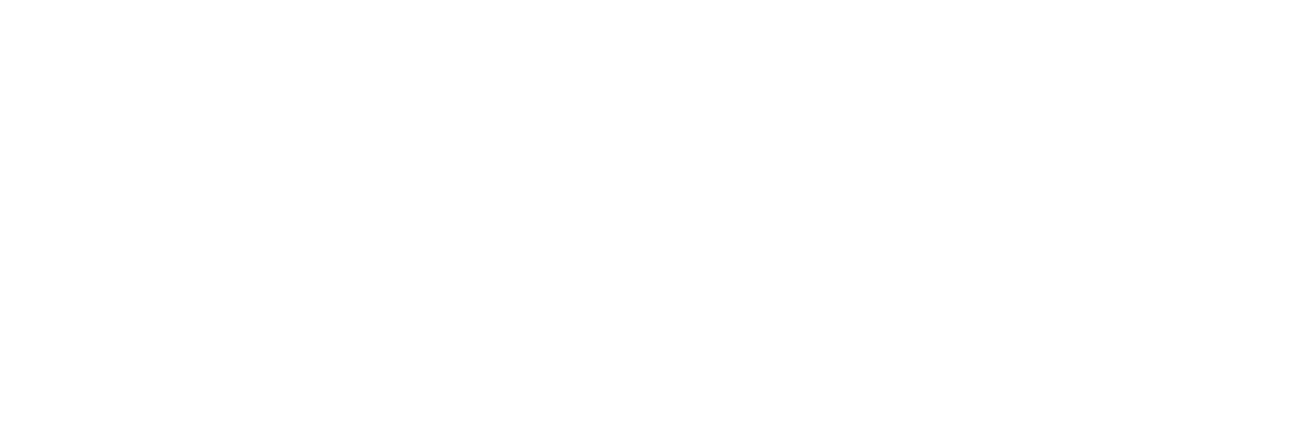 PoolCare+Spas-06 Emerald Pool Care and Spas logo