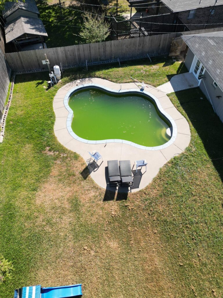 Custom backyard pool with green pool water.
