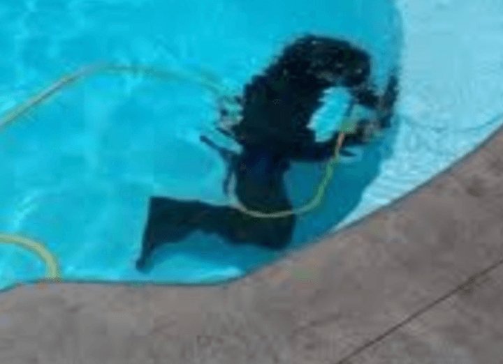 Emerald Pool Care employee underwater for pool leak prevention services.