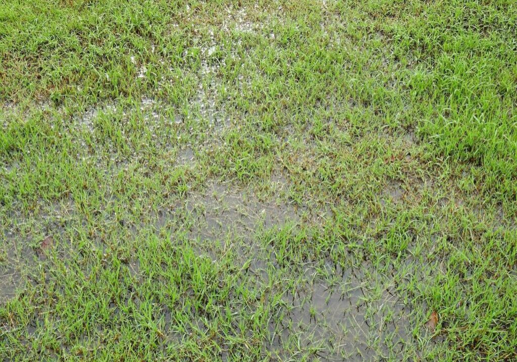 soggy ground due to pool leak