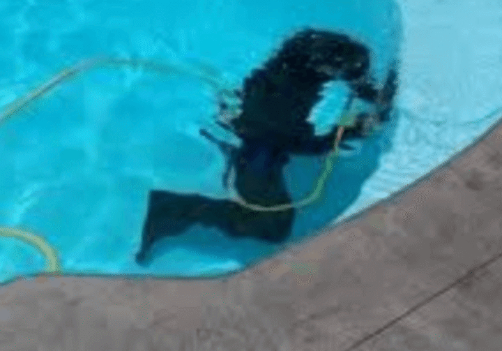 Emerald Pool Care employee underwater for pool leak prevention services.
